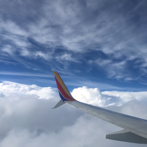 Meet your Posher, Lily - Picture 4 of 4